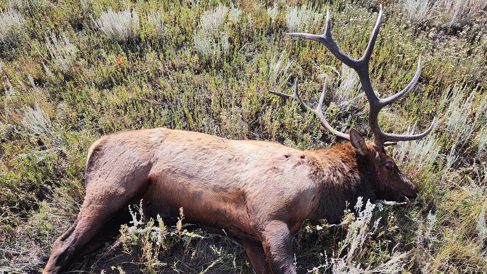 cowboystatedaily.com