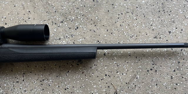 [Linked Image from i.ibb.co]