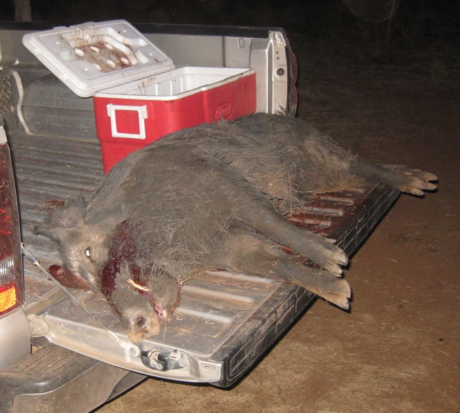 tailgate2_5_7_11.jpg