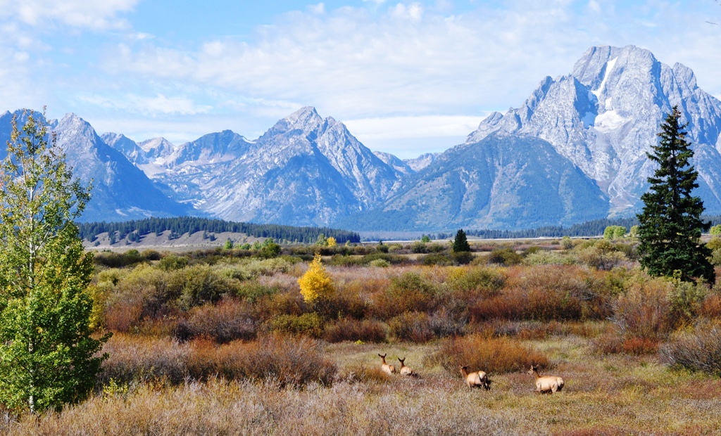 grand_tetons_001.jpg