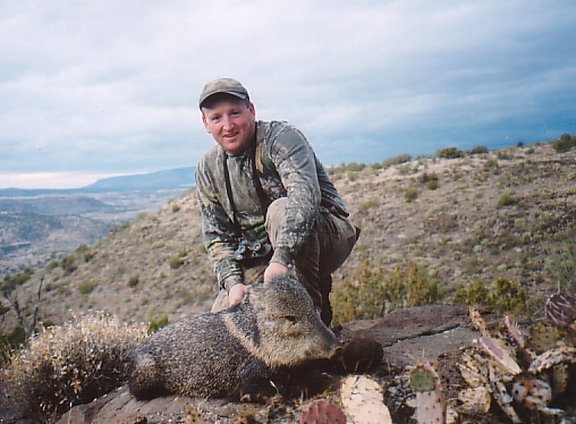 javelina04.JPG