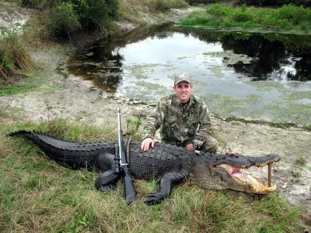 gator.jpg
