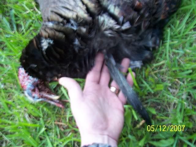 100_1156.jpg