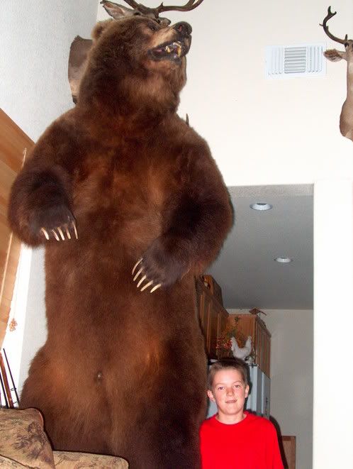 bear3.jpg