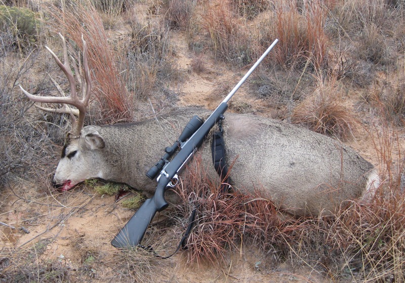 2009_Muledeer1ar.jpg