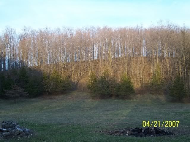 view.jpg