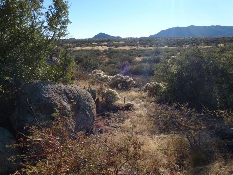 az11-13006.jpg