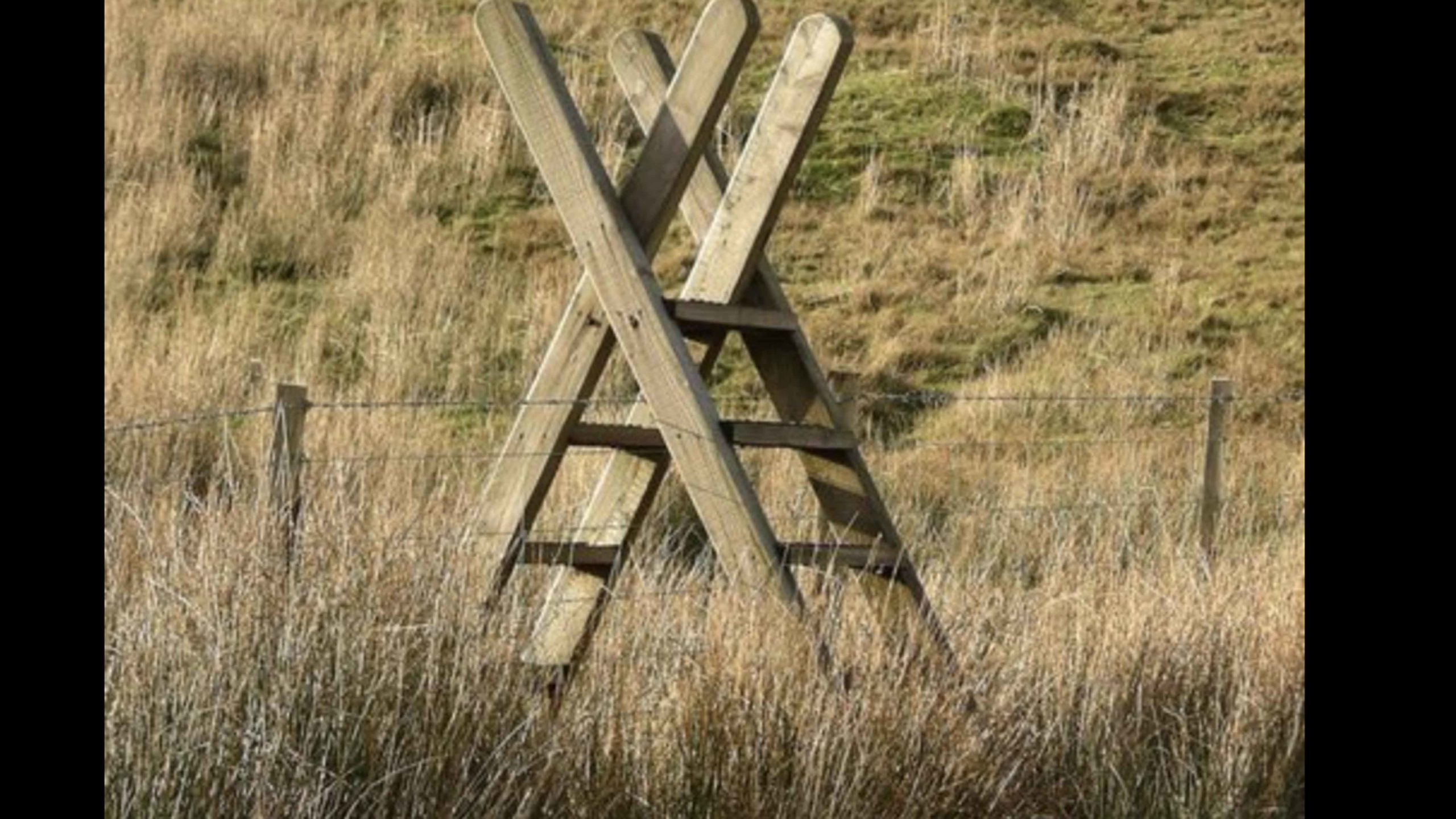 cowboystatedaily.com