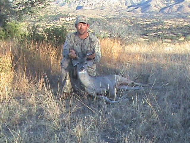 36bwhitetail002.jpg