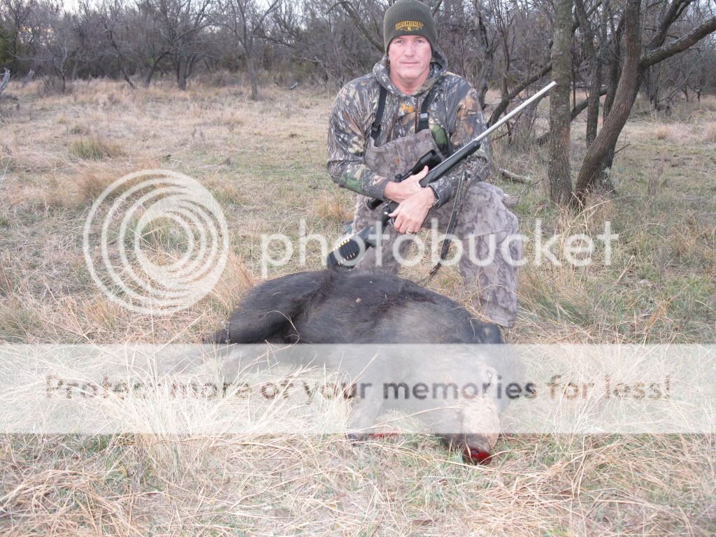 ArcherCountyHog.jpg