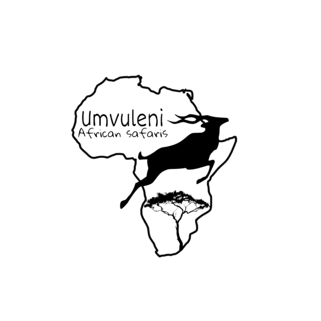 www.umvuleniafricansafaris.com