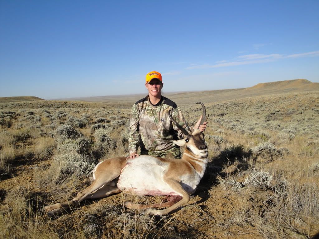 WyomingAntelope09008.jpg