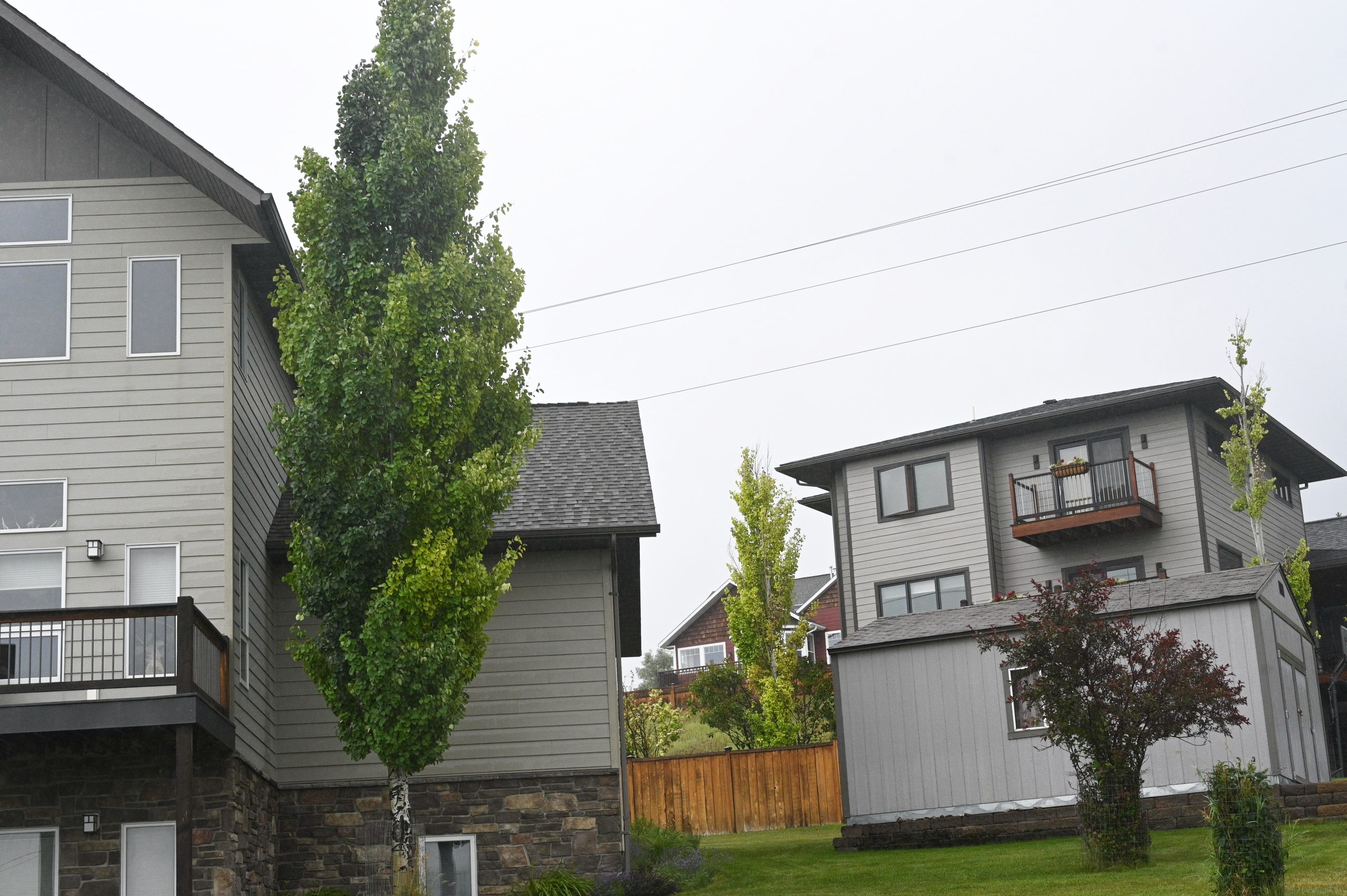 montanafreepress.org