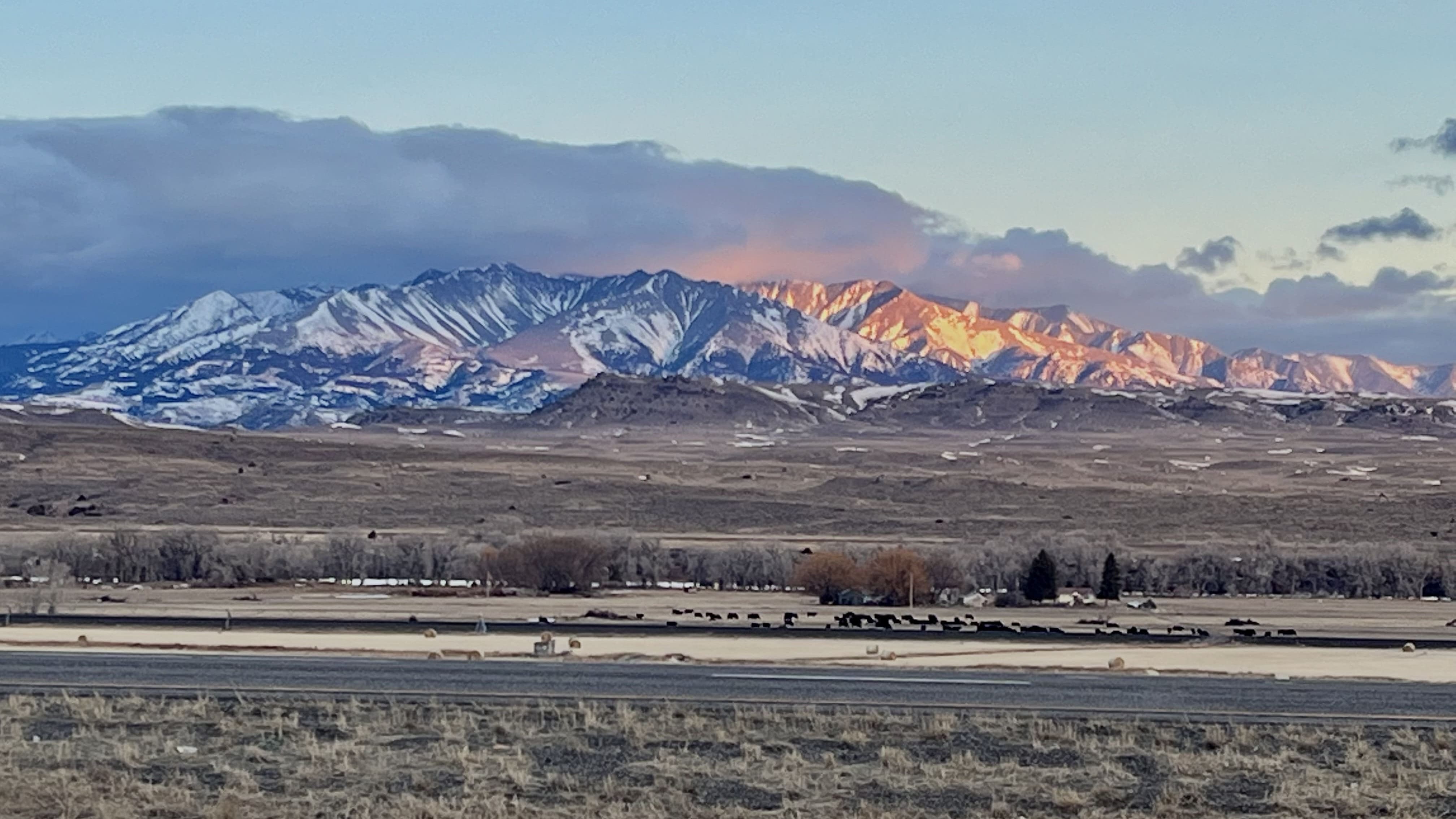 montanafreepress.org