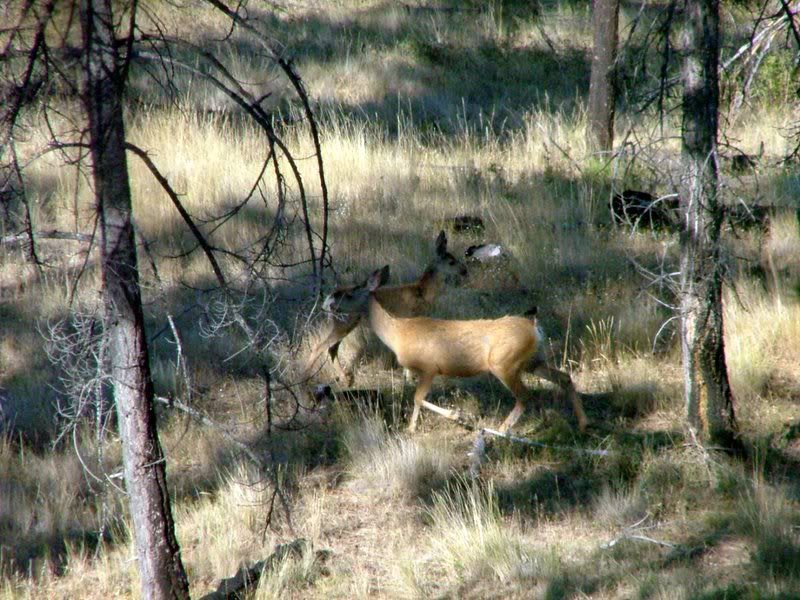 2006_0901Image0020.jpg