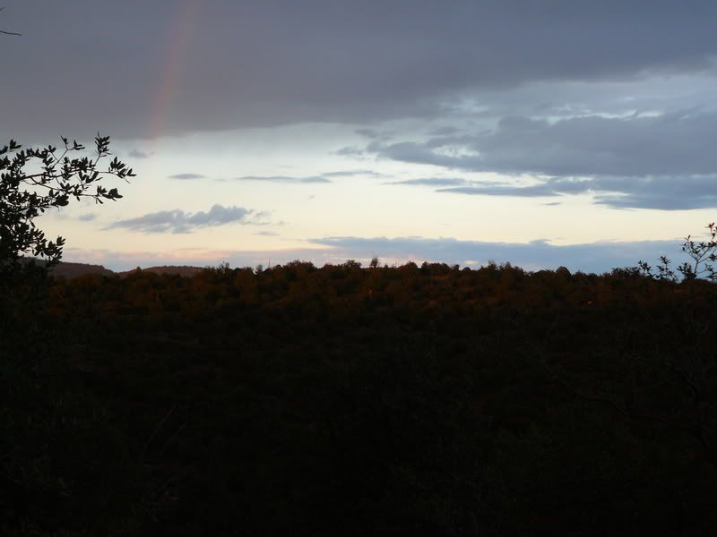 P1060231.jpg