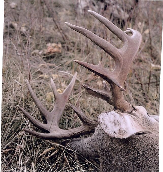 scan0008-12.jpg