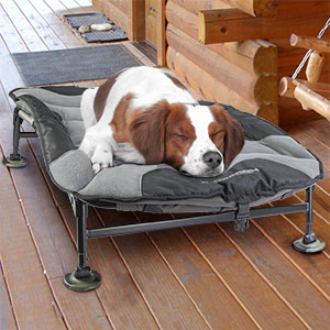 www.gundogsupply.com