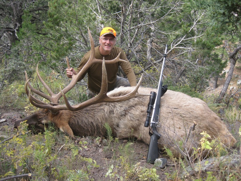 2010_NM_Elk_1.jpg