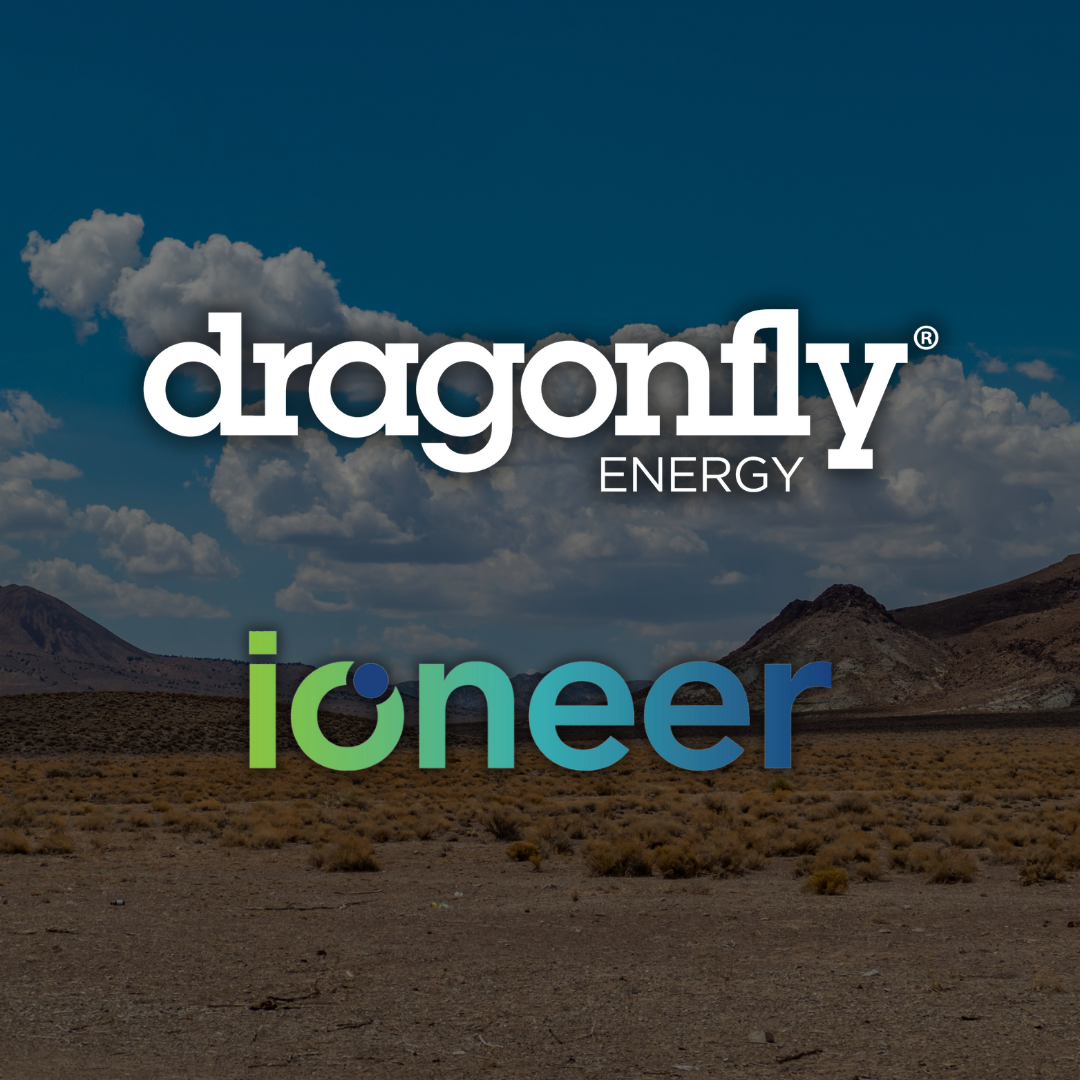 dragonflyenergy.com