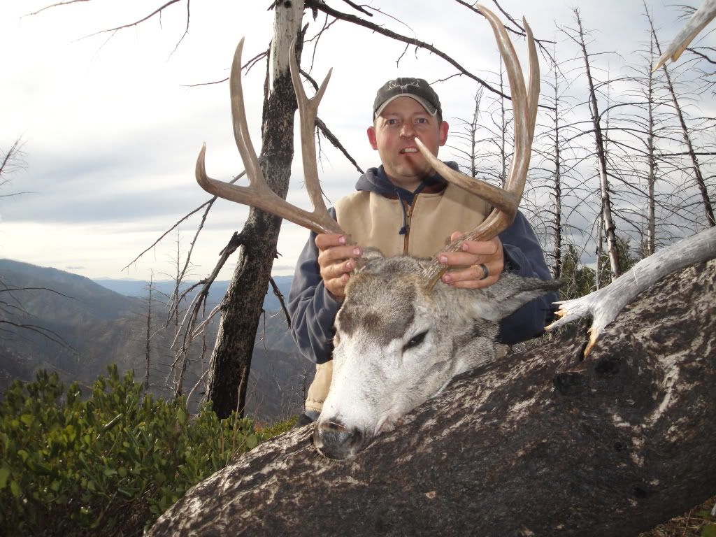 Idaho2nddeer010.jpg