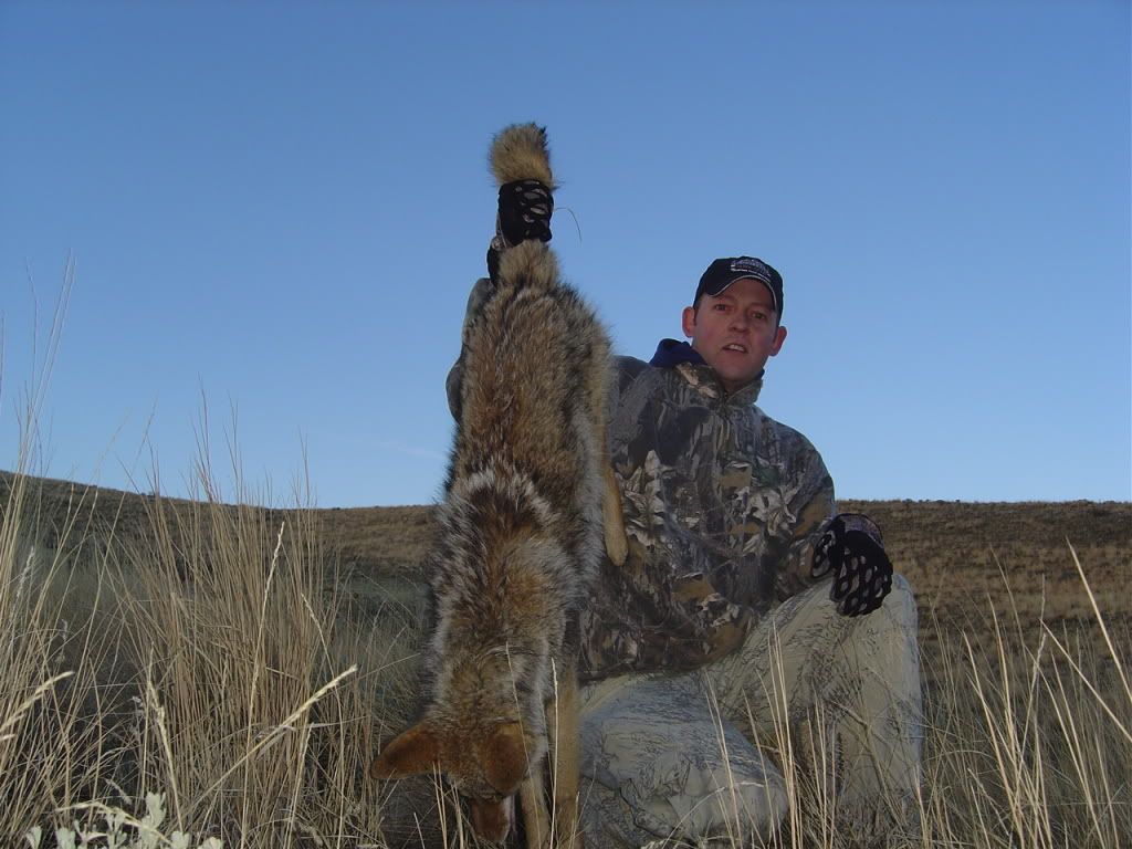 Coyotes08004.jpg
