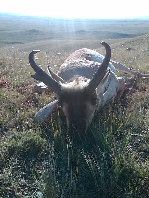 MikeAntelope.jpg