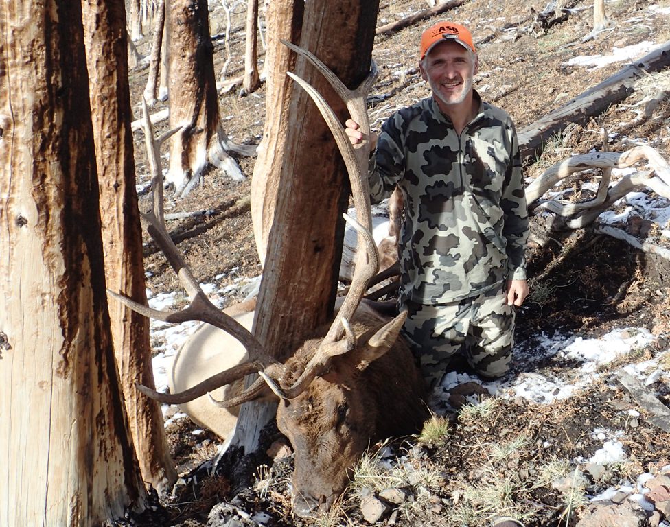 2014_wyoming_elk_front.jpg