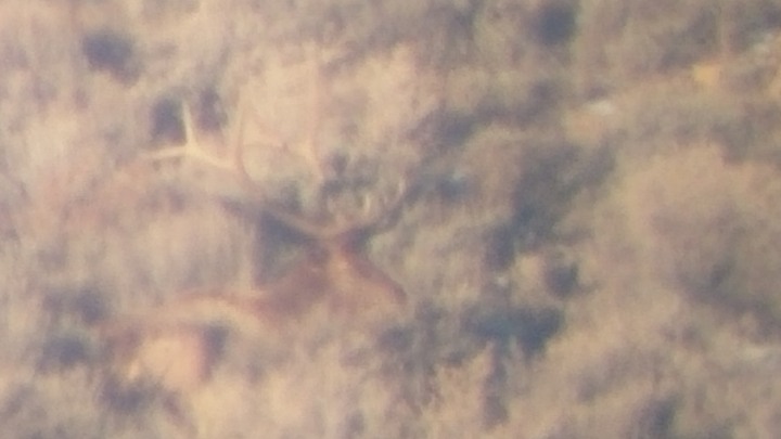 1114180756e.jpg