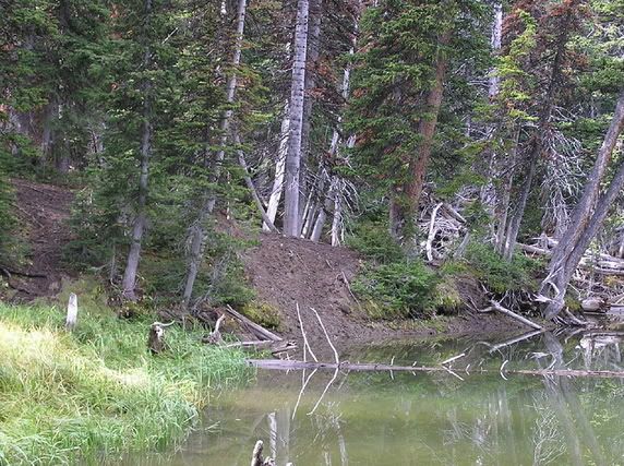 waterhole.jpg