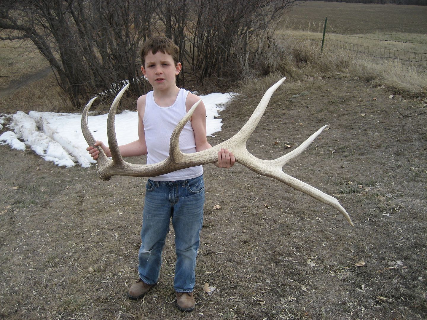 sheds2010001.jpg
