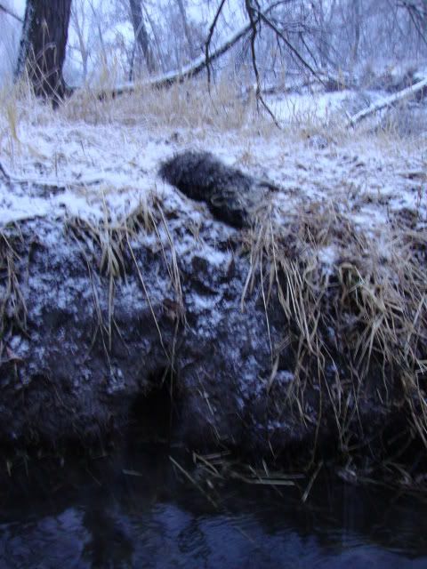 002-7.jpg