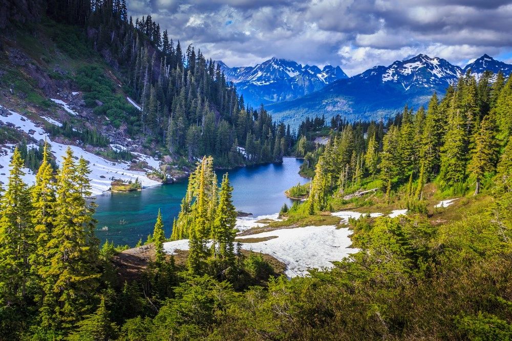 montanaconservationsocietymt.org