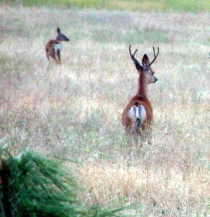 2006_0901Image0035.jpg