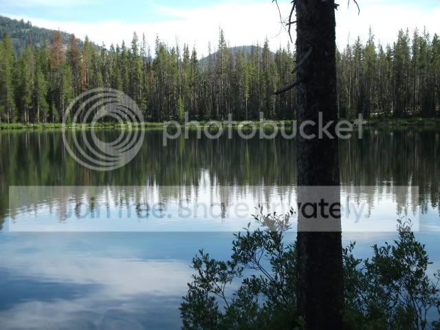 MartinLake2011002.jpg