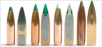 ST_Nosler_200802a.jpg