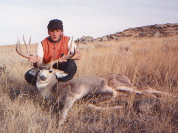 widemuley.jpg