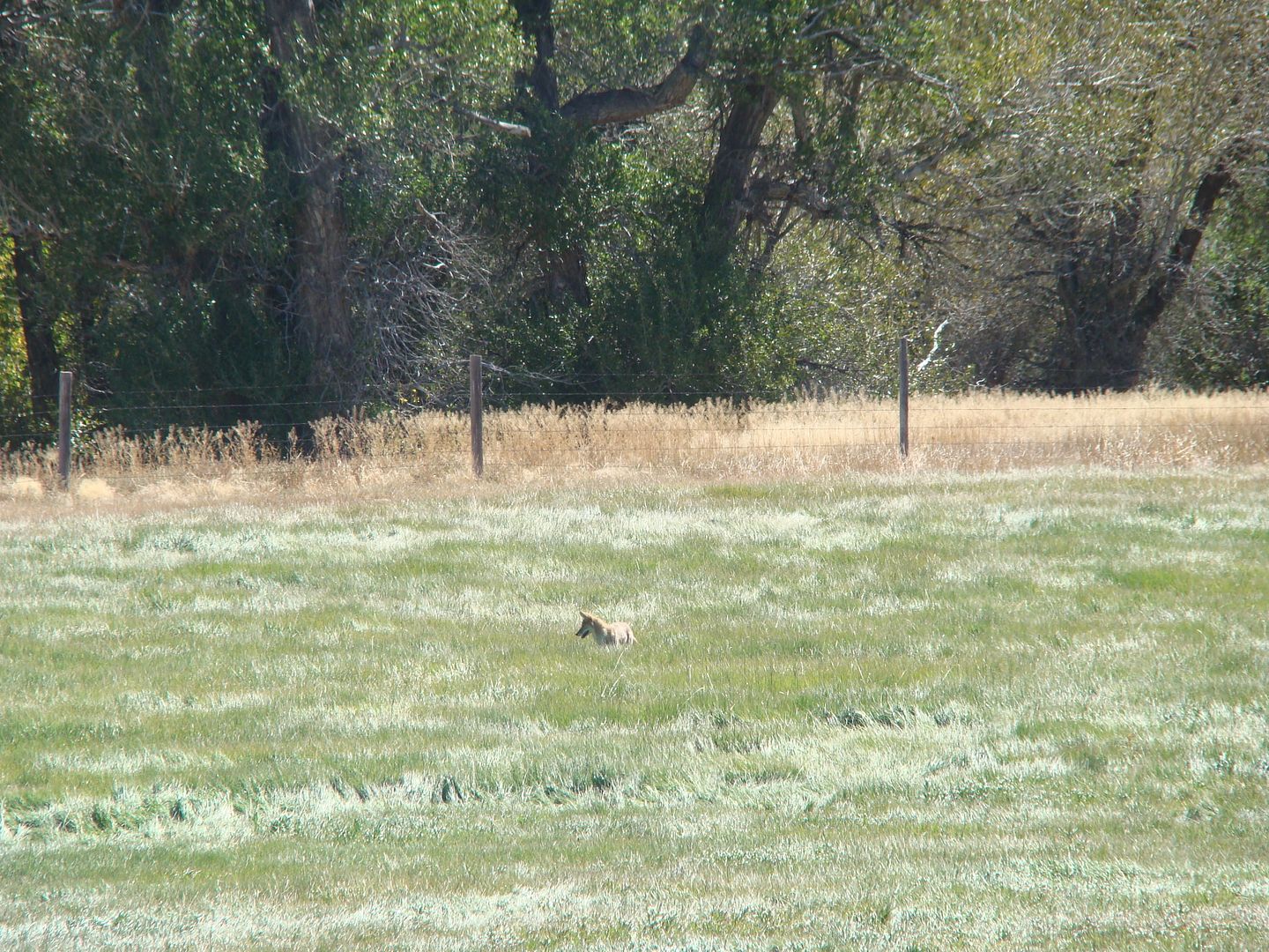 DSC00585_zpsss9aejys.jpg