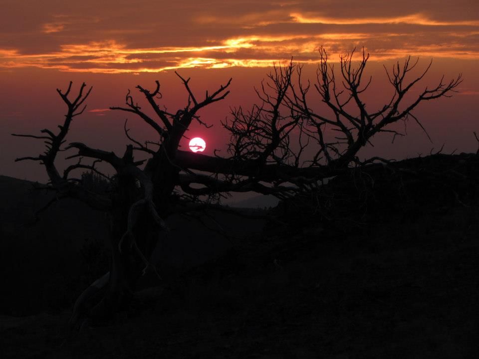 sunsethighwoods.jpg
