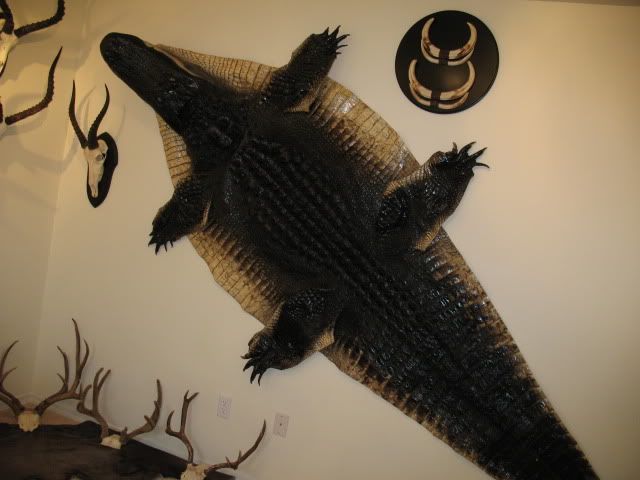 Biggame2010023.jpg