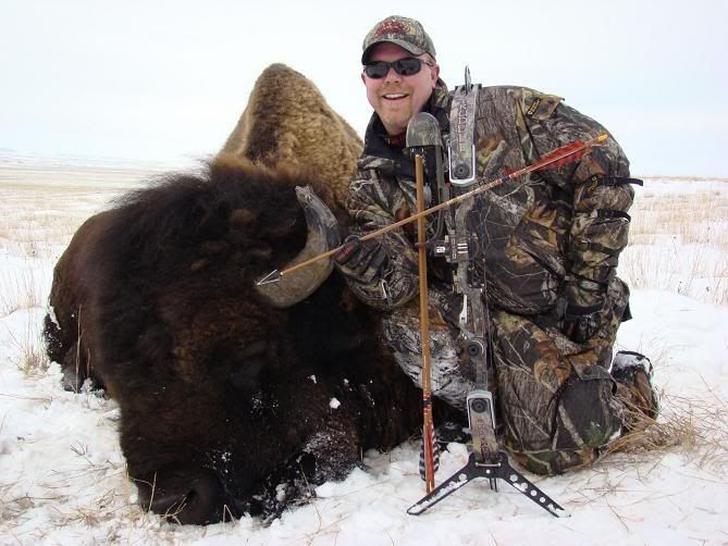 jay_bison2.jpg