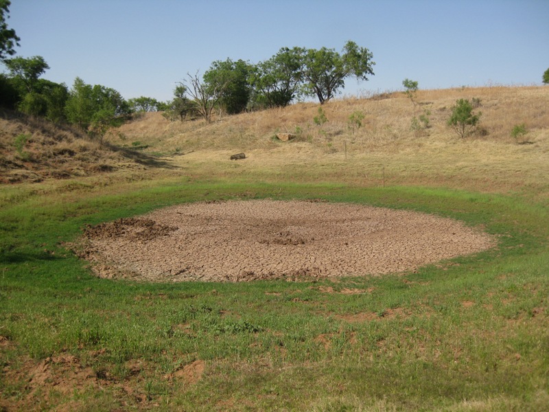 pond_5_7_11.jpg