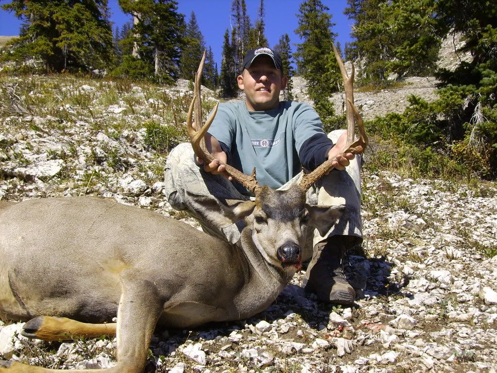 2008wyomingdeer008.jpg