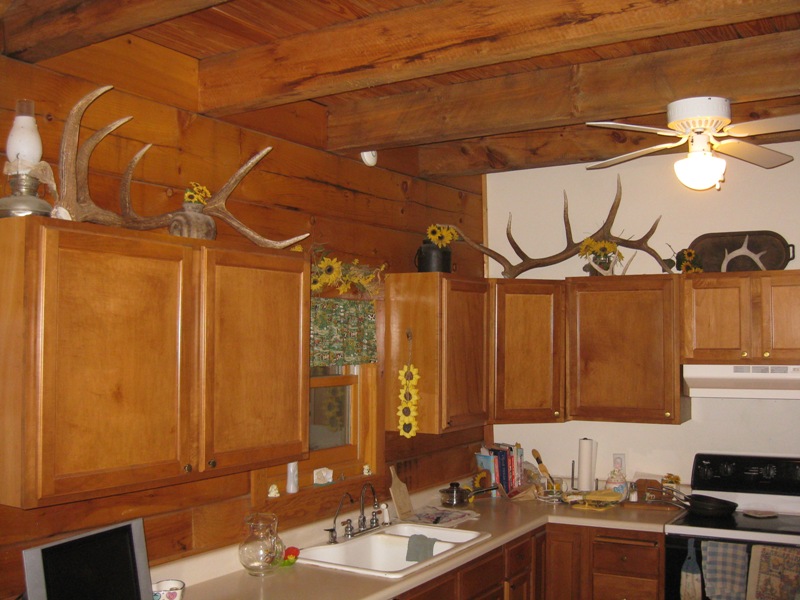 sheds_kitchen.jpg