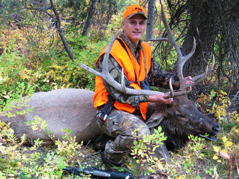 2008_elk1.jpg