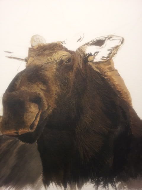 20121231_225730.jpg