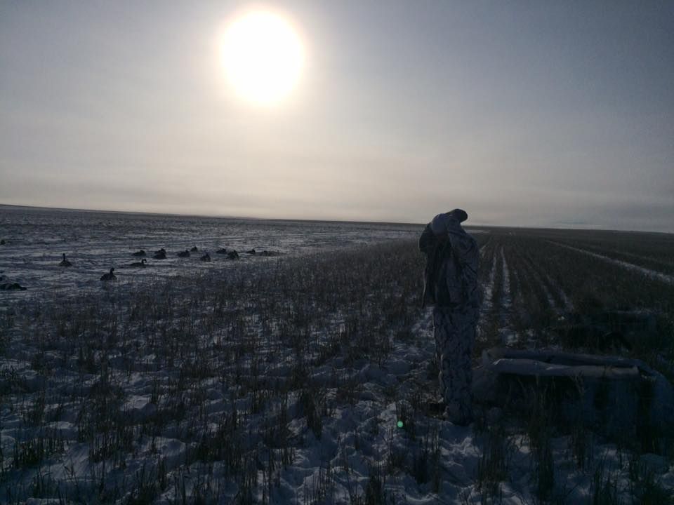 Coldgoosing6_zpsgefhdlfp.jpg