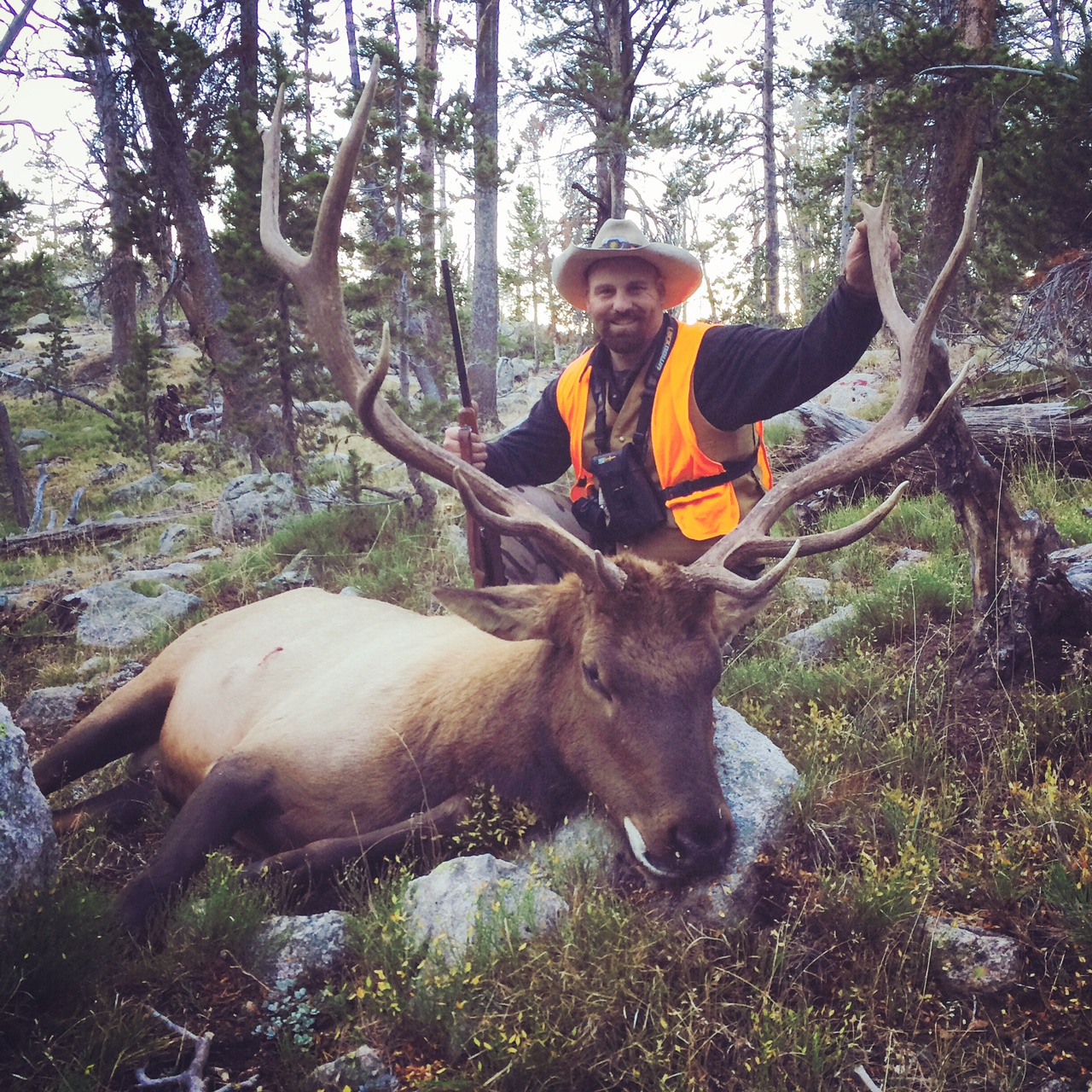edited-jcm-elk.jpg