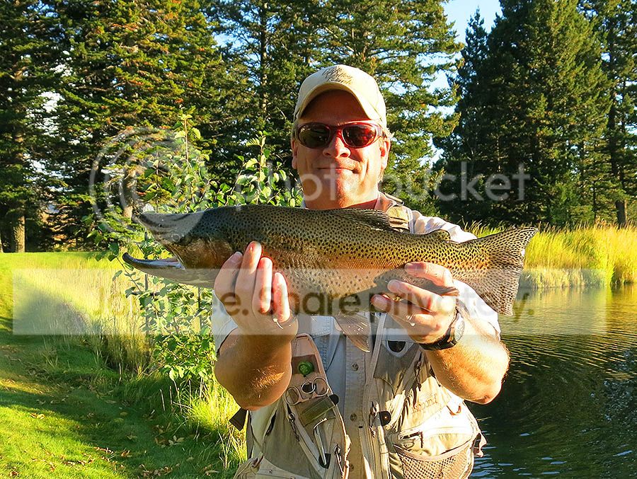 Troy%20Adams%209-29-16C_zpsex1ywu0b.jpg~original