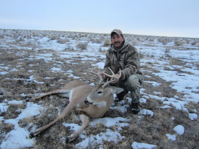 NMWhitetail116.jpg